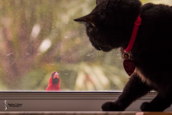 A little to close for comfort.