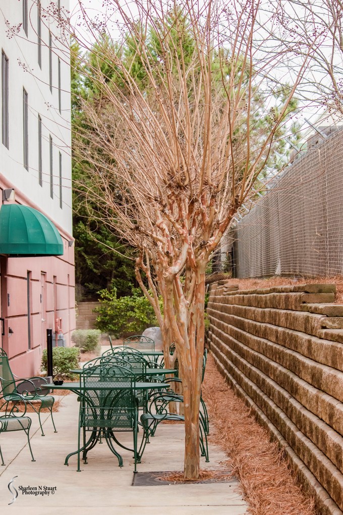 Columbus Georgia Trip:  March 6, 2015 3696