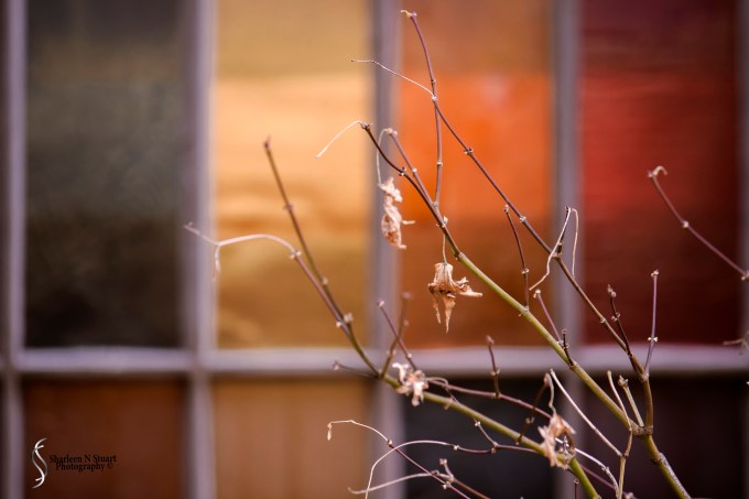 Columbus Georgia Trip:  March 9, 2015 3876