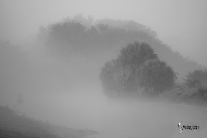 After the rain: March 25, 2015 8676