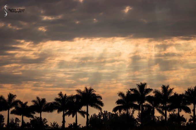 Early morning on the road: March 26, 2015 8710