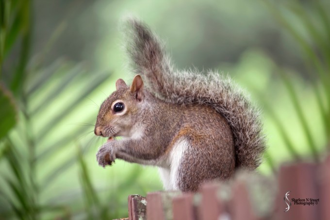 Out on the Back Canal: March 27, 2015 8788