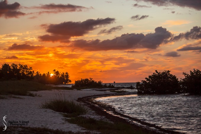 Early in the morning - I got up to watch the sunrise, walked a fair way down the beach, settled in to start taking photo's when the heavens opened and the rain came down.