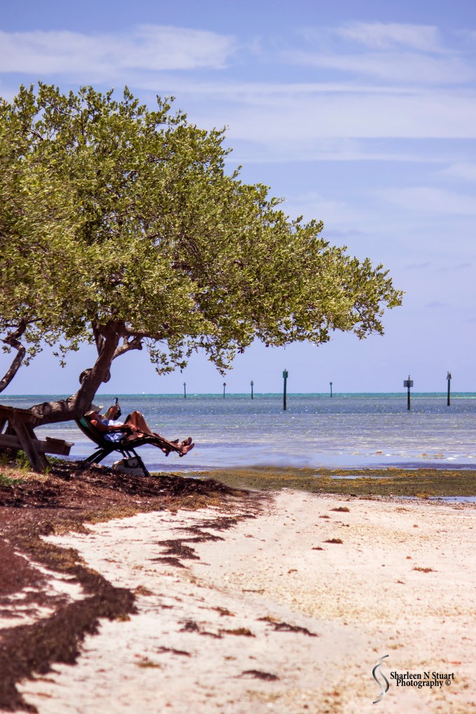 Relaxing during the heat of the day