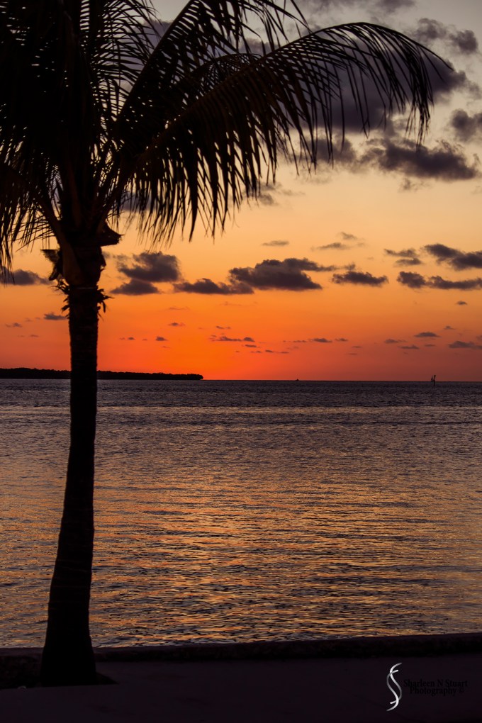 A final goodnight to the sunset