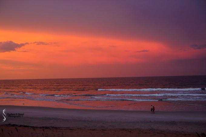 Anyone for a stroll at sunset?