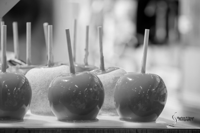 At the candy store in St Augustine