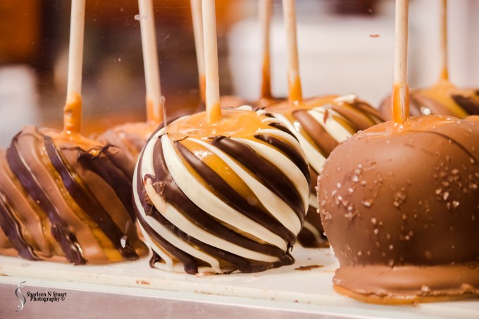 We took a drive through to St Augustine and one of the first places we stopped at was the chocolate factory.