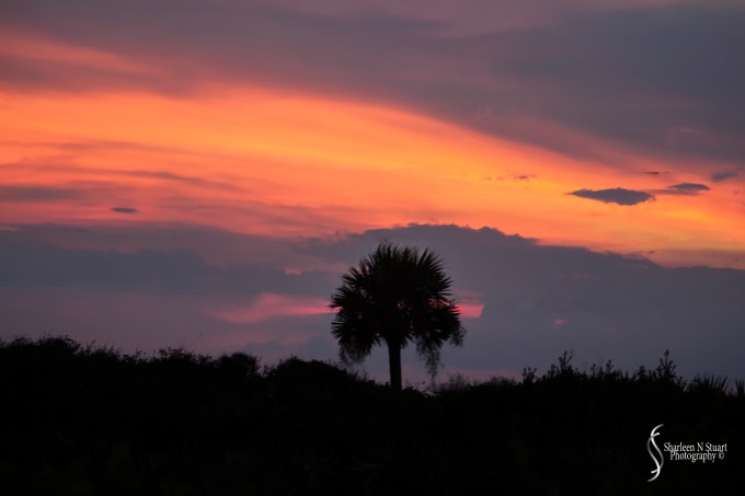 Final image of the sunset this evening.