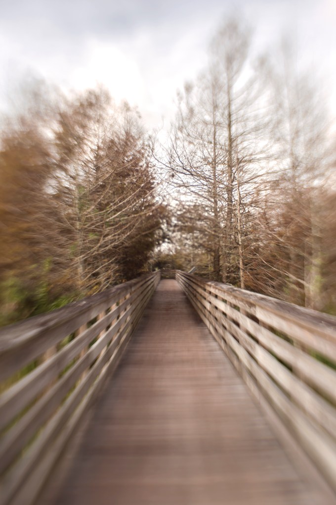 I forced myself to take only one lens to the wetlands - That was my sweet 35 Lensbaby. That was tough, but I knew if I had the zoom it would not come off. I stopped in the the treed area to practice with this lens.