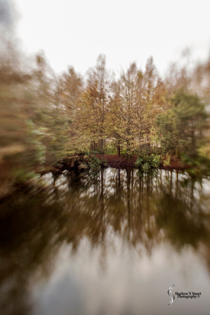 Practicising with the lensbaby