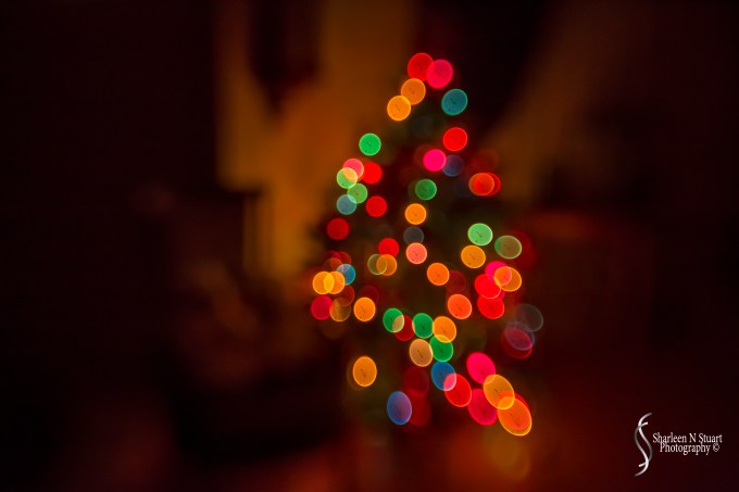 Christmas lights with the help of the lensbaby sweet 35