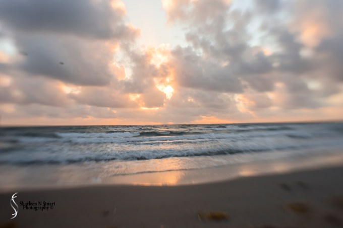 Practicing with the Lensbaby Sweet 35