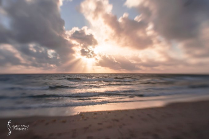 Enjoying the final rays