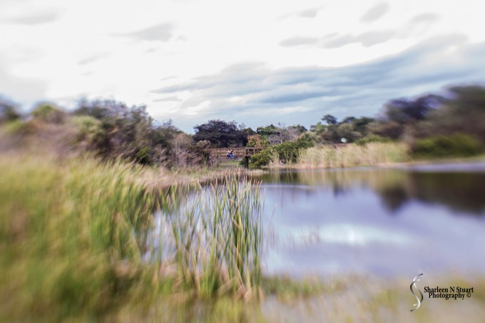 Mother and Son Reunion