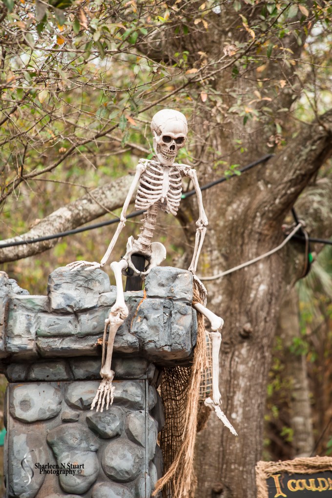 Vikings and Valkyries Weekend