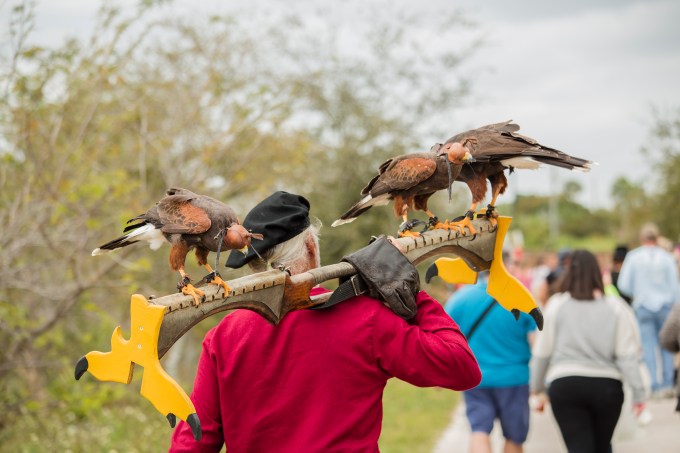 Vikings and Valkyries Weekend