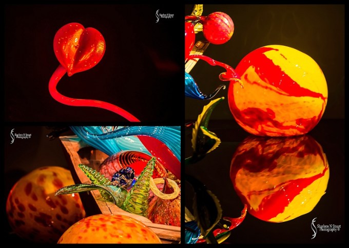 Chihuly Gardens in Seattle