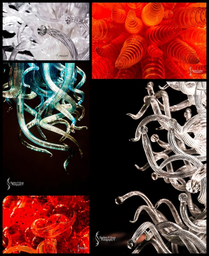 Chihuly Gardens in Seattle