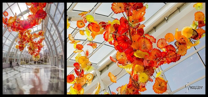 Chihuly Gardens in Seattle
