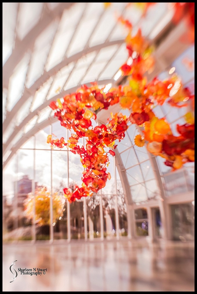Chihuly Gardens in Seattle