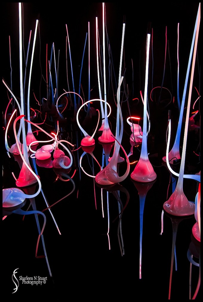 Chihuly Gardens in Seattle