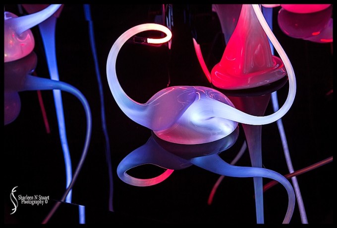 Chihuly Gardens in Seattle