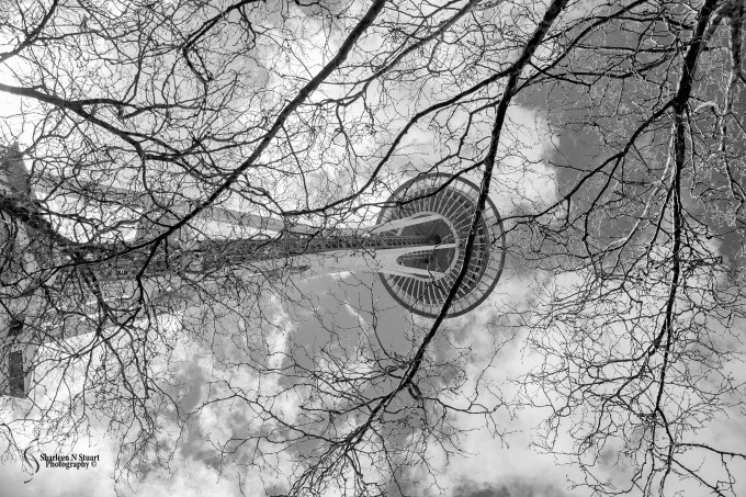 Space Needle, Science Museum, Children's Museum, Staduim