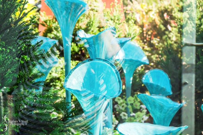 Chihuly Gardens in Seattle