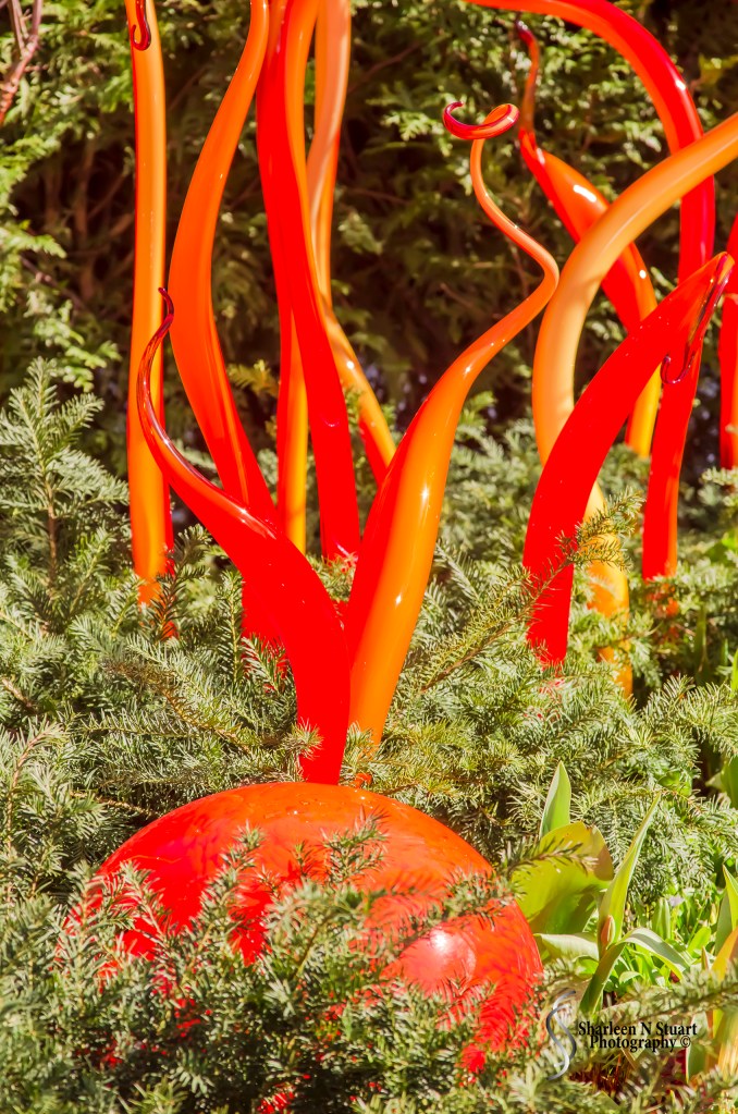Chihuly Gardens in Seattle