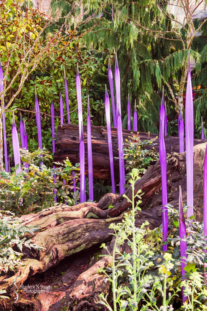 Chihuly Gardens in Seattle