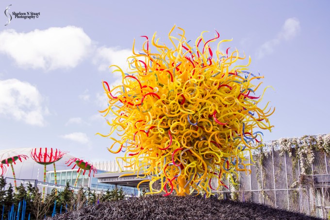 Practicing with the Lensbaby Sweet 35