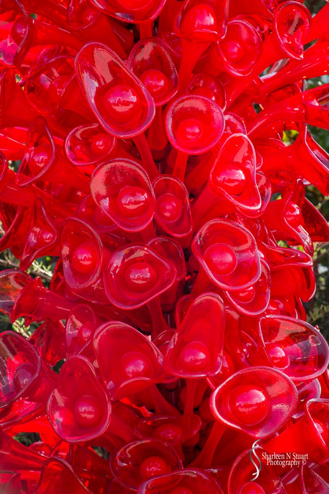 Chihuly Gardens in Seattle