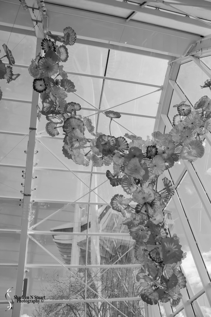 Chihuly Gardens in Seattle with the Space Needle in the background