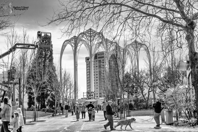 Pacific Science Center - Seattle