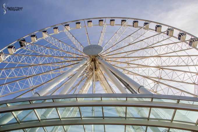 Seattle Ferris Wheel