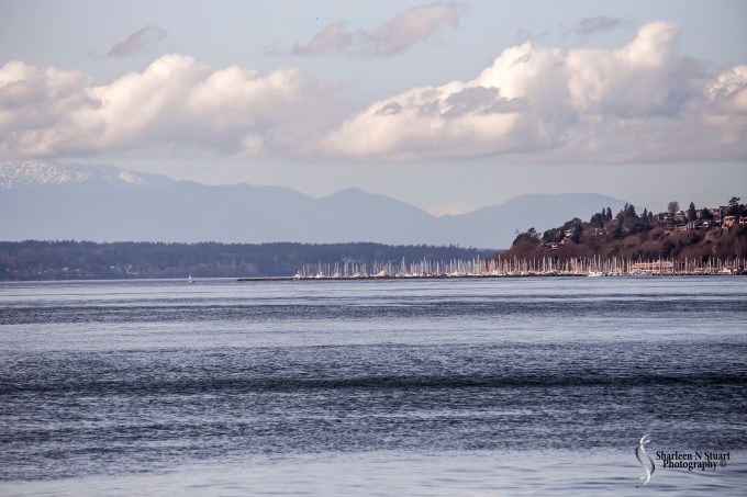 Seattle Ferris Wheel area
