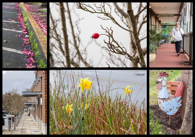 Still seeing signs of winter colors