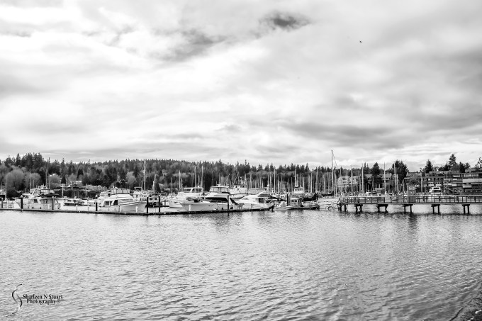 The Yatch harbor at Bainbridge Island