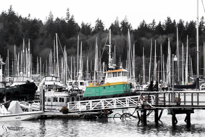 The Yatch harbor at Bainbridge Island