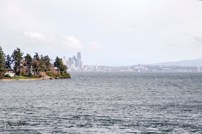 Heading back to Seattle