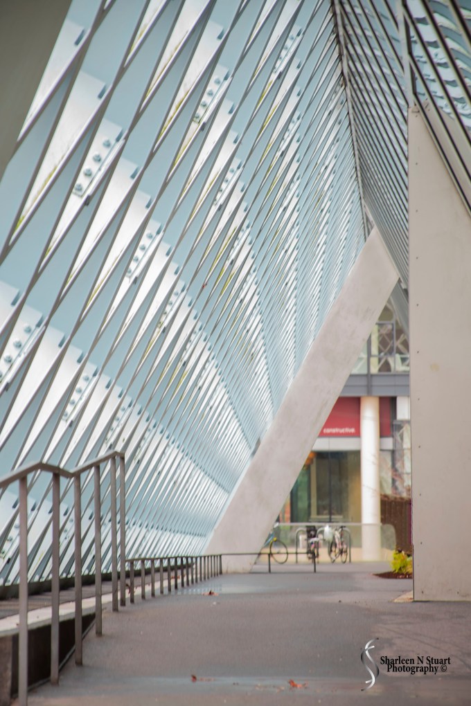 The Seattle City Library