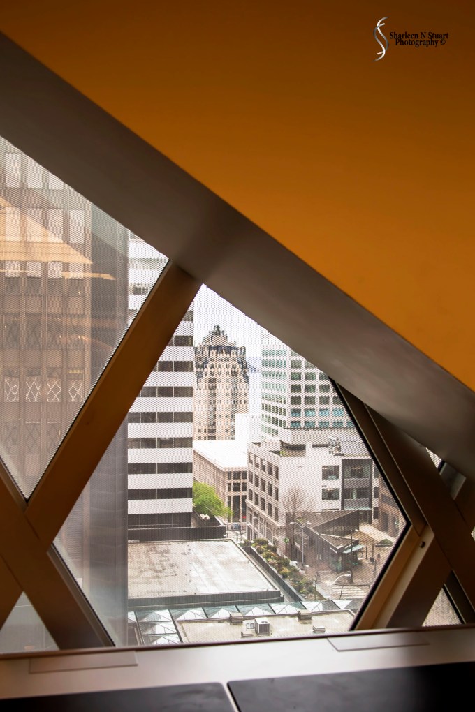 The Seattle City Library - looking out.