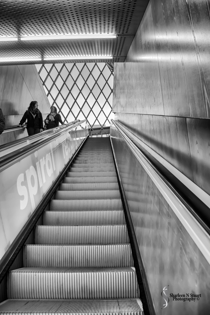 The Seattle City Library - heading up the escalator to the main level.