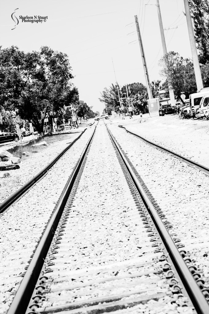 I took advantage of the freedom to take the train tracks again on our return journey.