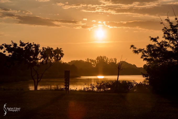 I guess waking up at 5am does have some rewards