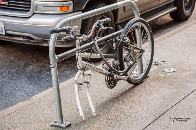 Scenes from Seattle City Center