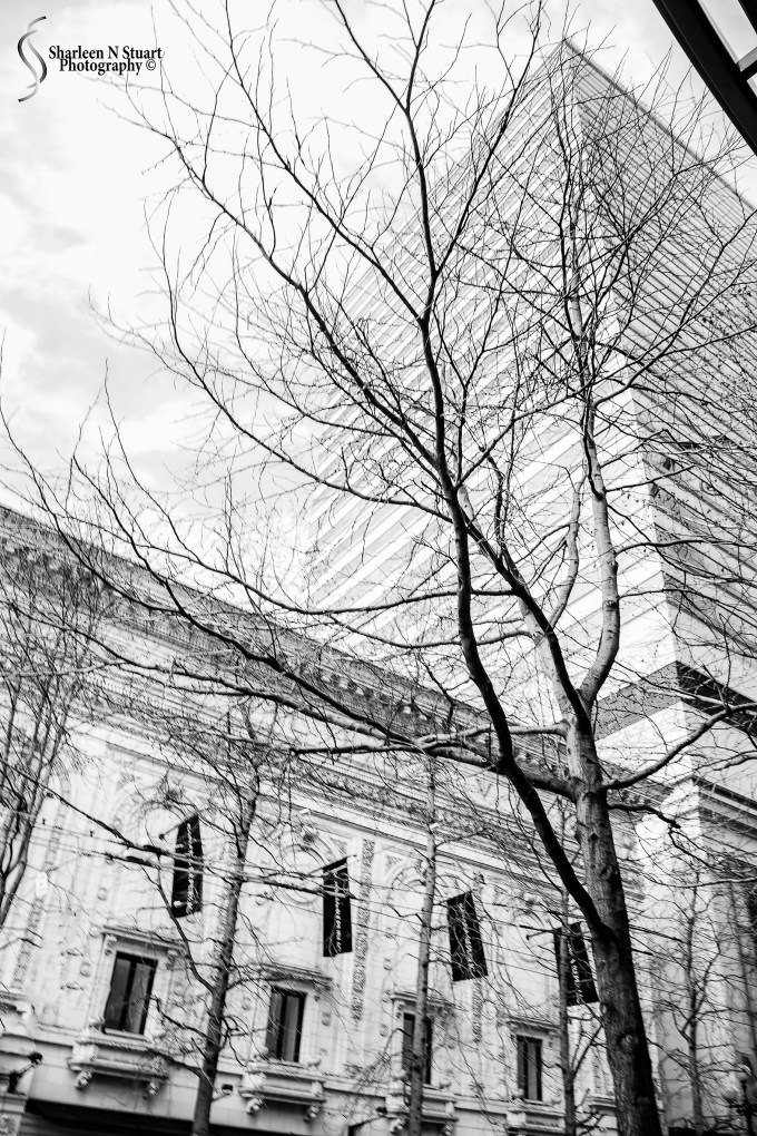 Seattle City Streets