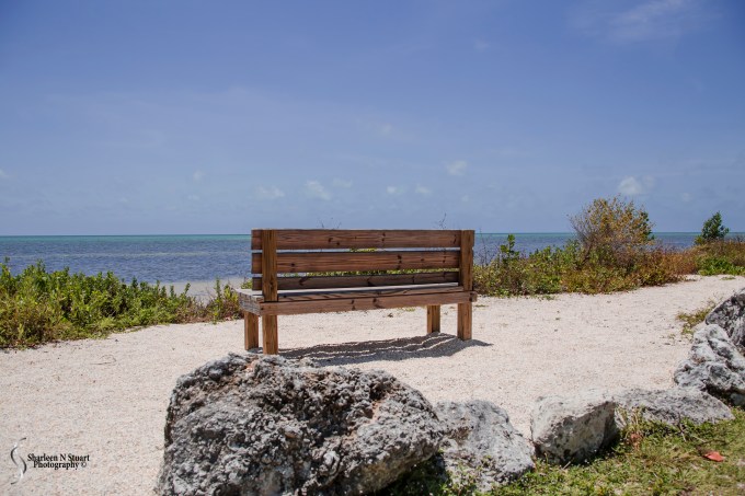 A place of rest and reflection.