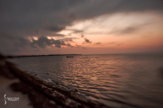 Lensbaby Composer Pro with a Sweet 35 optic.